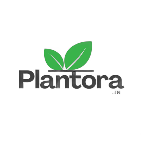 Plantora