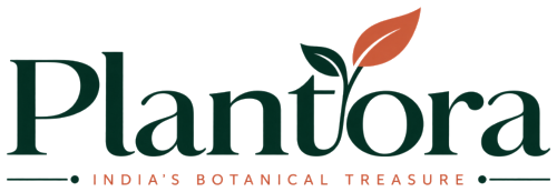 Plantora — India's Botanical Treasure